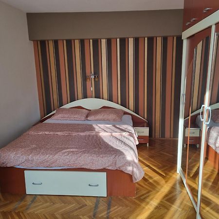 Nice & Relaxing Central Apartment Baia Mare Exteriör bild