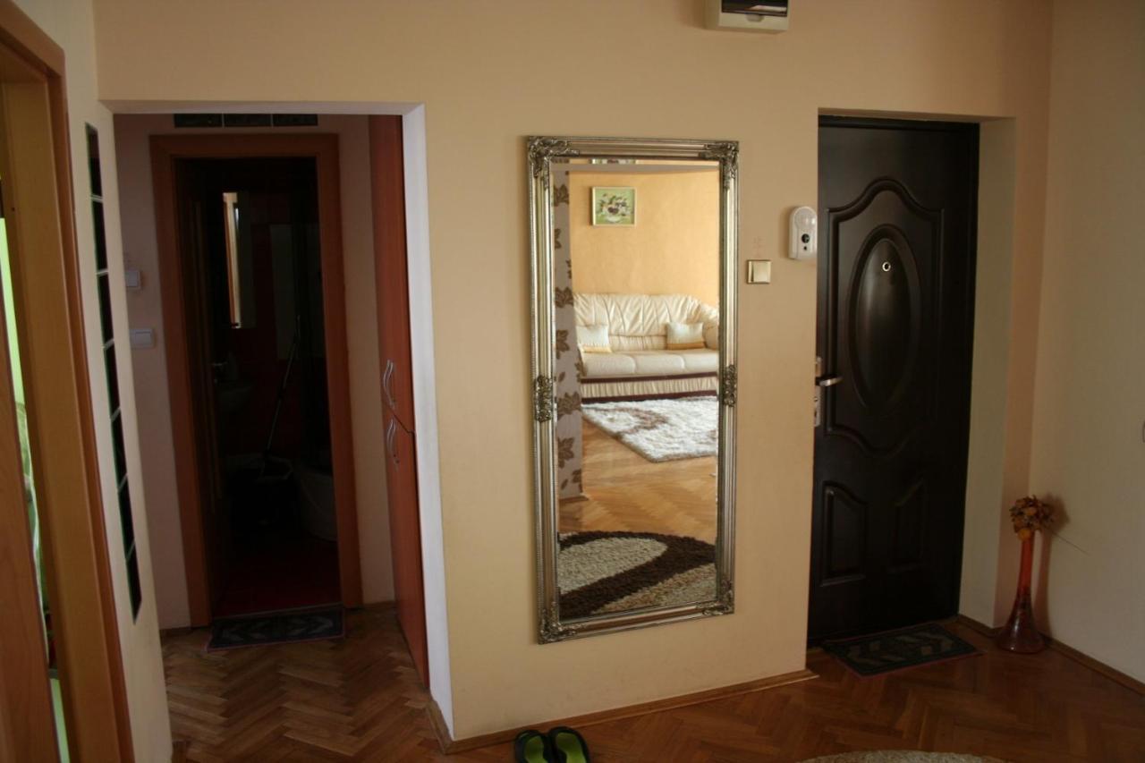 Nice & Relaxing Central Apartment Baia Mare Exteriör bild